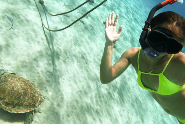 Snorkeler swimming near a sea turtle underwater in Curacao