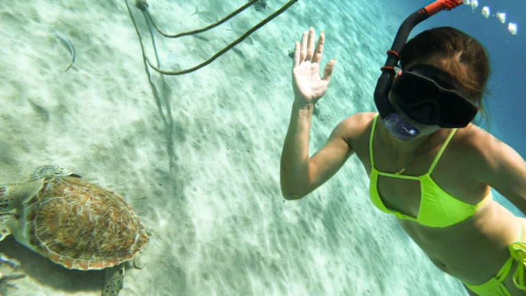 Snorkeler swimming near a sea turtle underwater in Curacao