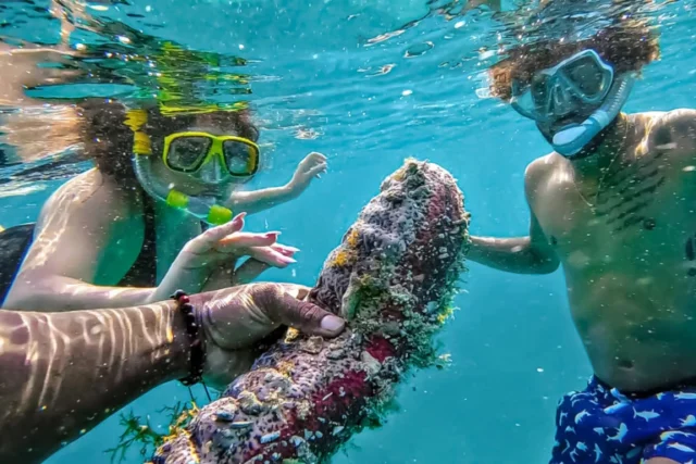 Two snorkelers observing marine life underwater during a sea turtle tour in Curacao