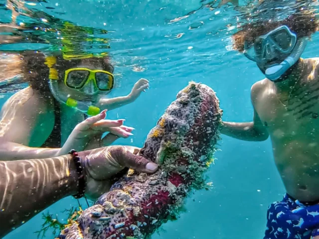 Two snorkelers observing marine life underwater during a sea turtle tour in Curacao